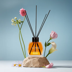 Mango World Reed Diffuser 120 ML