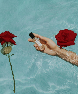 Sugar Muse 8 ML Parfüm Yağı | Natural Oil